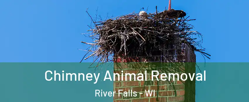  Chimney Animal Removal River Falls - WI