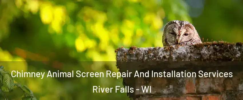  Chimney Animal Screen Repair And Installation Services River Falls - WI