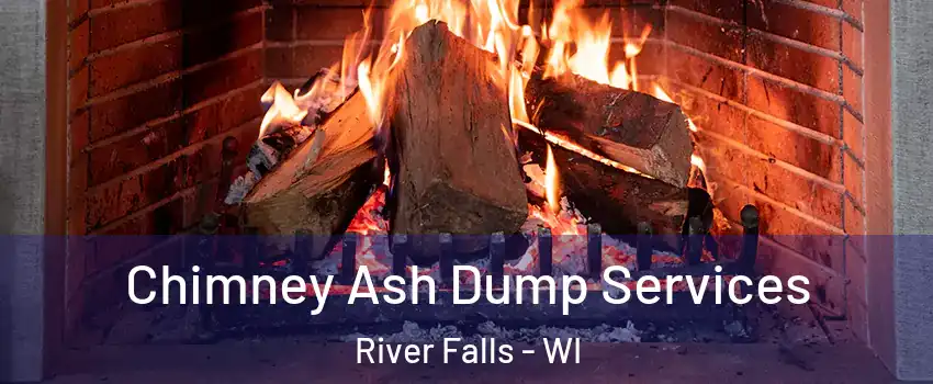  Chimney Ash Dump Services River Falls - WI