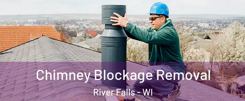  Chimney Blockage Removal River Falls - WI
