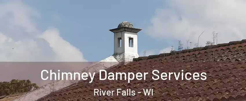  Chimney Damper Services River Falls - WI