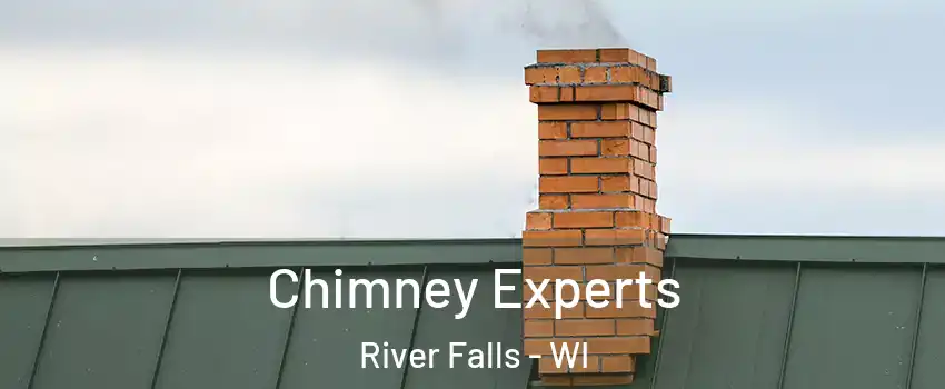  Chimney Experts River Falls - WI