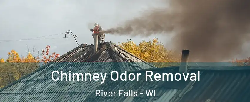  Chimney Odor Removal River Falls - WI