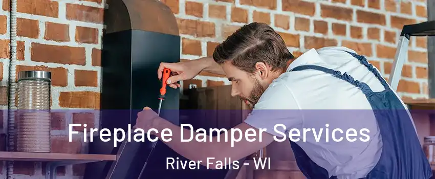  Fireplace Damper Services River Falls - WI