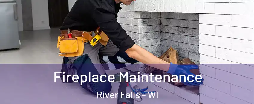  Fireplace Maintenance River Falls - WI