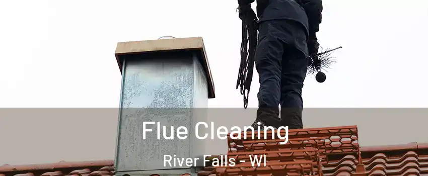  Flue Cleaning River Falls - WI