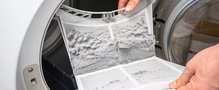 Best Dryer Lint Removal Company in River Falls, Wisconsin