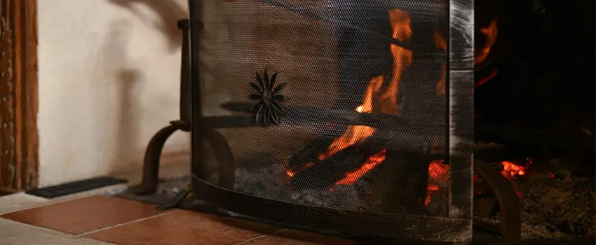 Electric Metal Fireplace installation Services in River Falls, WI
