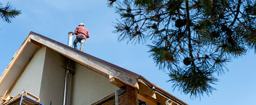 Birds Removal Contractors from Chimney in River Falls, WI
