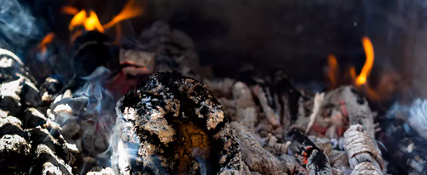 Creosote Removal Experts in River Falls, WI